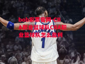 bob彩票官网-CBA职业篮球队CBA职业篮球队怎么盈利