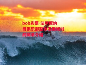 bob彩票-法甲摩纳哥俱乐部整体发展规划的简单介绍