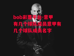 bob彩票平台-意甲有几个球队成员意甲有几个球队成员名字